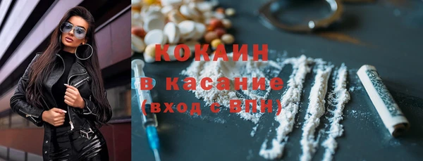 шишки Арсеньев
