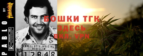 шишки Арсеньев