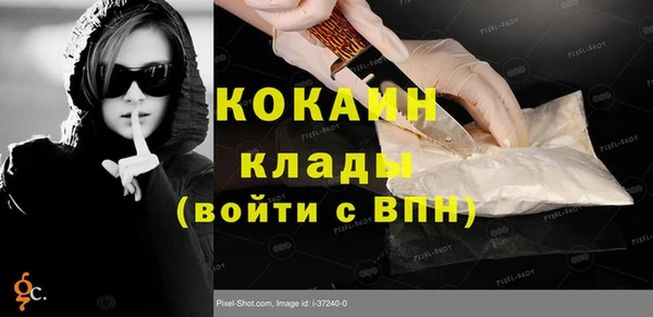 шишки Арсеньев