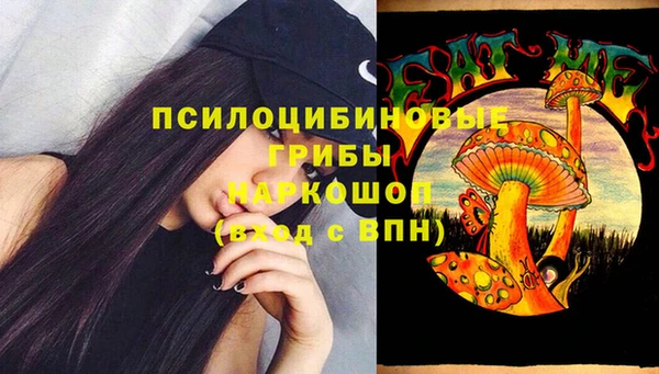 спиды Армянск