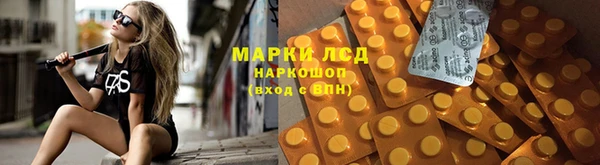 шишки Арсеньев