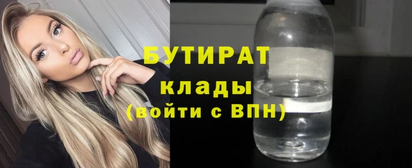 шишки Арсеньев