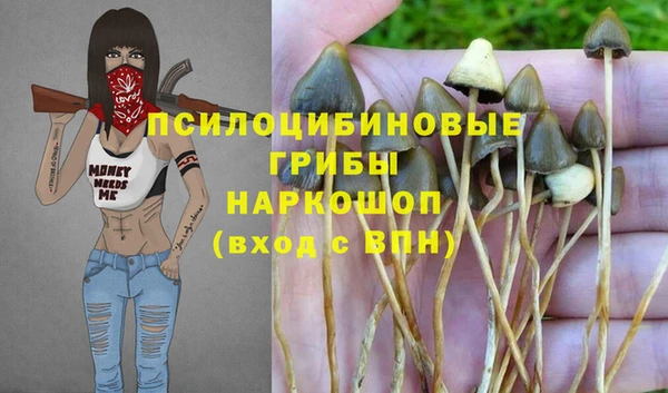 спиды Армянск