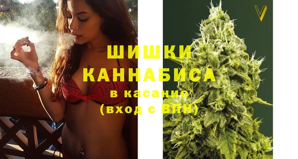 шишки Арсеньев