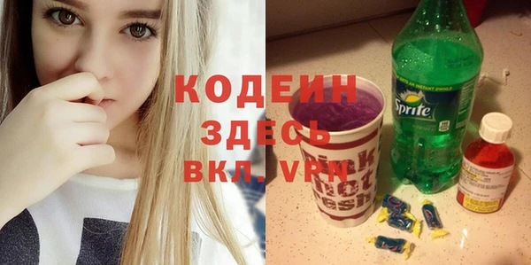 шишки Арсеньев