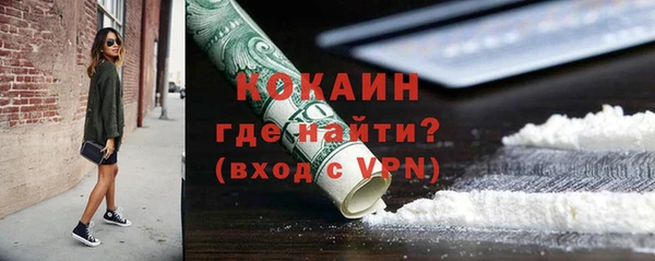 шишки Арсеньев