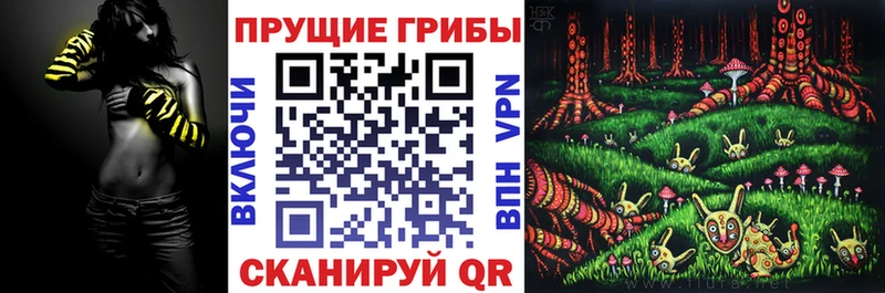 Купить  Вытегра  Галлюциногенные грибы прущие грибы 